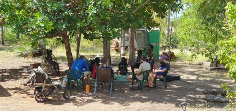 People sitting under a tree