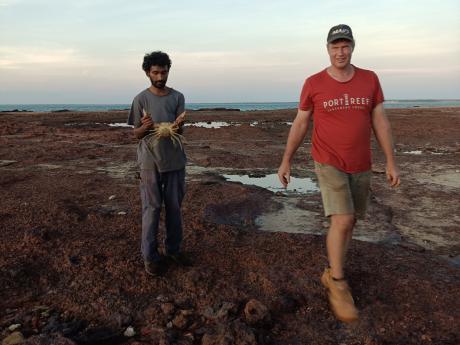 Two men crab hunting on tidal flat.