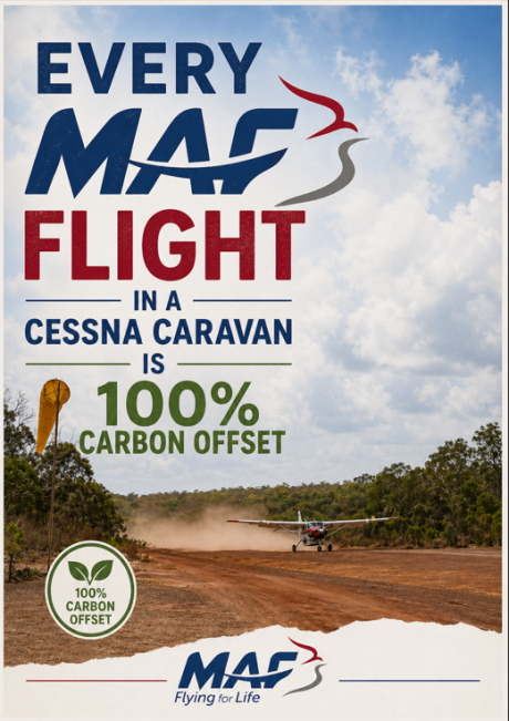 carbon neutral poster