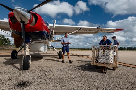 Unloading aircraft on airport tarmac