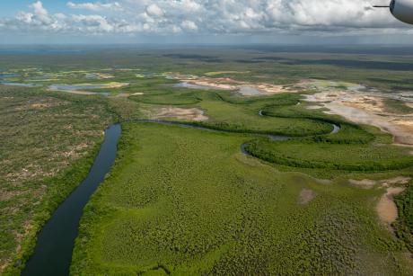 aerial view of wetland scenery